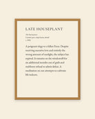 Late Houseplant museum placard print in an oak frame, shown straight on