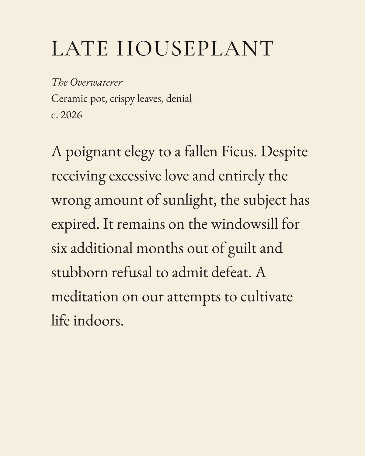 Late Houseplant museum placard print artwork, charcoal on cream